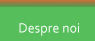 -Despre noi-