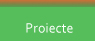 -Proiecte-